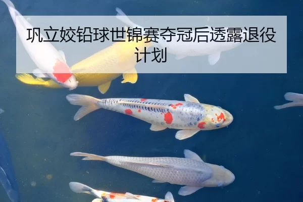 巩立姣铅球世锦赛夺冠后透露退役计划